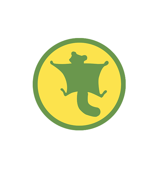 Літаючі вивірки ІІ